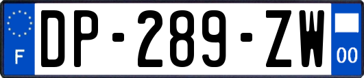 DP-289-ZW