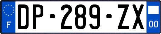 DP-289-ZX