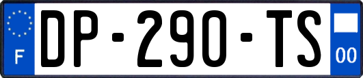 DP-290-TS