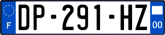 DP-291-HZ