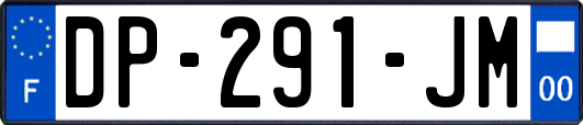 DP-291-JM