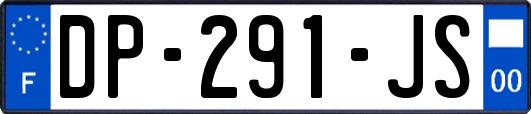 DP-291-JS