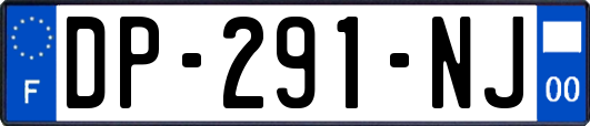 DP-291-NJ