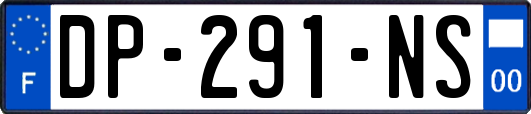 DP-291-NS