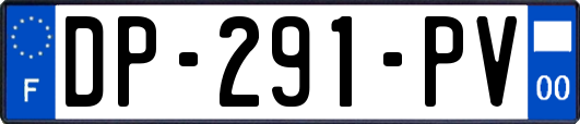 DP-291-PV