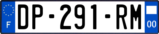 DP-291-RM