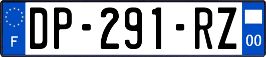 DP-291-RZ