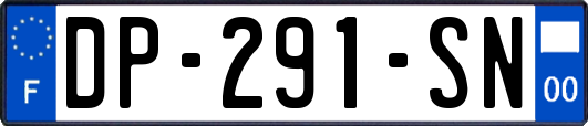 DP-291-SN