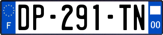 DP-291-TN