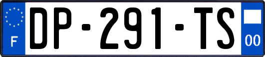 DP-291-TS