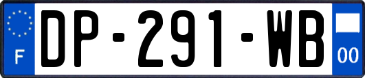 DP-291-WB