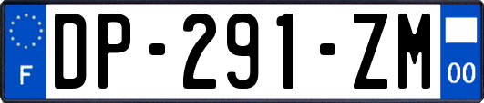 DP-291-ZM