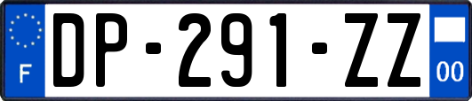 DP-291-ZZ