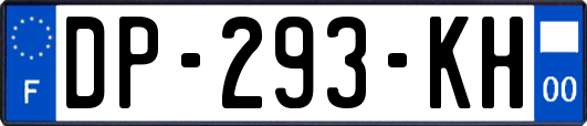 DP-293-KH