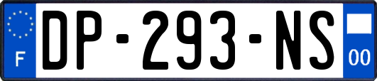 DP-293-NS