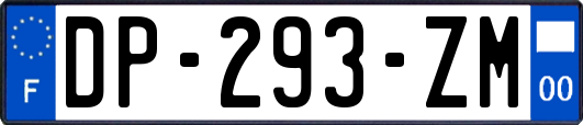 DP-293-ZM