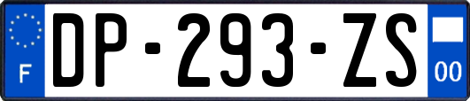 DP-293-ZS