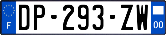 DP-293-ZW