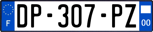 DP-307-PZ