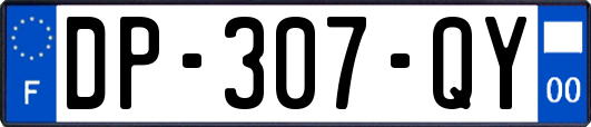 DP-307-QY