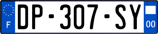 DP-307-SY
