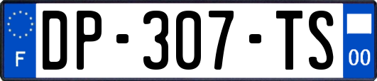 DP-307-TS