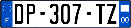 DP-307-TZ