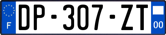 DP-307-ZT