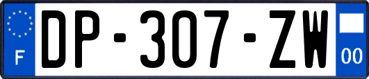 DP-307-ZW