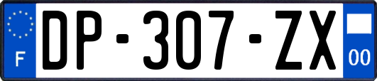 DP-307-ZX