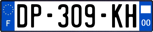 DP-309-KH