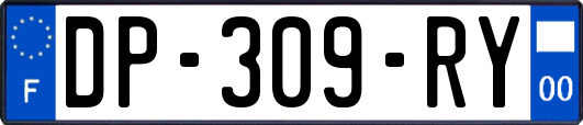 DP-309-RY