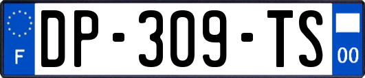 DP-309-TS