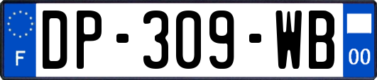 DP-309-WB