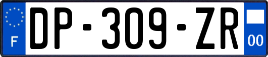 DP-309-ZR