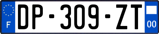 DP-309-ZT