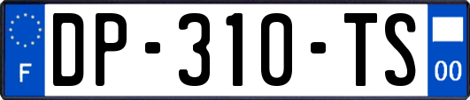 DP-310-TS