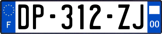 DP-312-ZJ