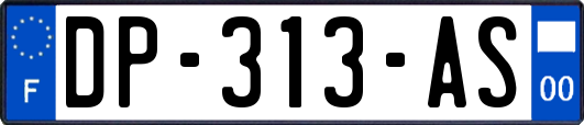 DP-313-AS