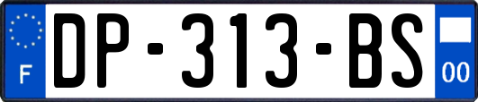 DP-313-BS