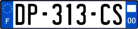 DP-313-CS