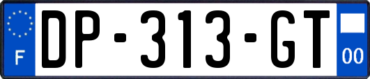 DP-313-GT