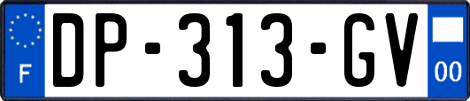 DP-313-GV