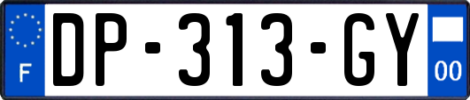 DP-313-GY
