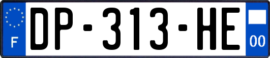 DP-313-HE