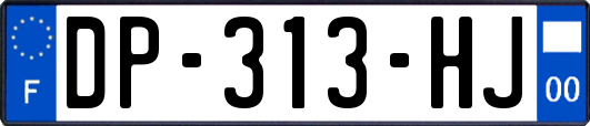 DP-313-HJ