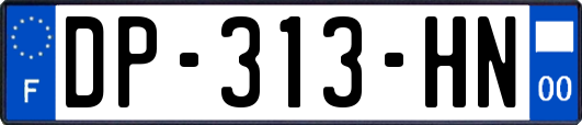 DP-313-HN
