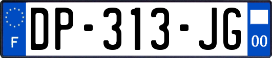 DP-313-JG