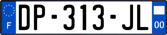 DP-313-JL