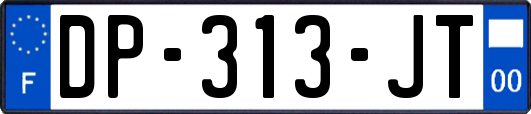 DP-313-JT